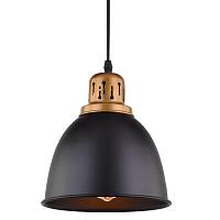 Дополнительная картинка Подвесной светильник Arte Lamp Eurica A4245SP-1BK