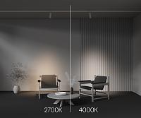 Дополнительная картинка Трековый светильник Technical TR198-3-20W2.7K-Z-W