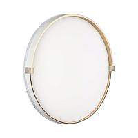 7646/DL PALE SN Светильник LED 48Вт 4000К D390 IP43 OLIDI WHITE