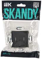SKANDY Выключ. 2-кл. с инд. 10А SK-V09T титан IEK 