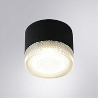 Дополнительная картинка Уличный потолочный светильник Arte Lamp PIAUTOS A1926PF-1BK