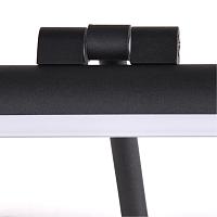 Подсветка для картин Arte Lamp HARRISON A1709AP-1BK