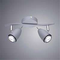 Дополнительная картинка Настенно-потолочный светильник Arte Lamp Regista A1966AP-2GY