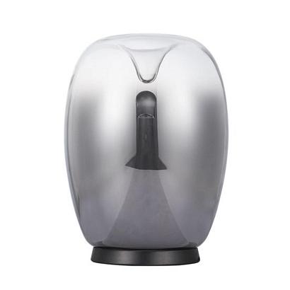 Настольный светильник Divinare CAMPO 5875/51 TL-15