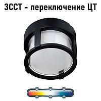 Уличный светильник Arte Lamp ULYSSES A6206PF-1BK