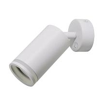 Настенно-потолочный светильник Arte Lamp IMAI A2365AP-1WH