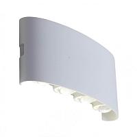 Уличный настенный светодиодный светильник ST Luce Bisello SL089.501.08 светильники