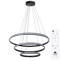 Дополнительная картинка Подвесной светильник Arte Lamp MERIDIANA A2198SP-3BK