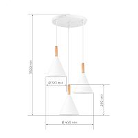 Дополнительная картинка SLE1255-513-03 Светильник подвесной 