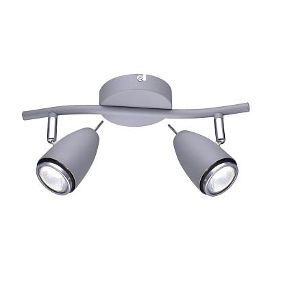 С 2 плафонами на стену Настенно-потолочный светильник Arte Lamp Regista A1966AP-2GY, доставка по Казахстану 