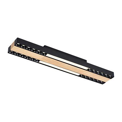 Потолочные Потолочный светильник Zebra 4440-2C, доставка по Казахстану 