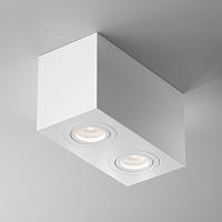 Потолочный светильник Technical C017CL-02W купить в Алматы svet.kz