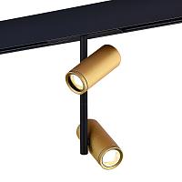 ST808.246.16 Магнитный трековый светильник Золотистый LED 1*16W 4000K 1 250Lm Ra>90 36° IP20 D45xH240 48VV купить в Алматы svet.kz