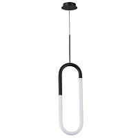 Дополнительная картинка Подвесной светильник Arte Lamp LUMINO A2233SP-20BK