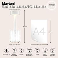 Дополнительная картинка Аккумуляторный светильник Maytoni MOD229TL-L3W3K1