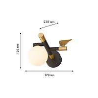 Дополнительная картинка Настенный светильник Sparrow 4324-1W