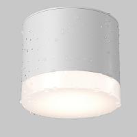 Дополнительная картинка Потолочный светильник Technical C087CL-GX53-W
