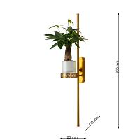 Дополнительная картинка Настенный светильник Greenery 4050-2W