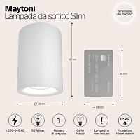 Дополнительная картинка Потолочный светильник Maytoni Alfa C012CL-01W