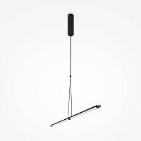 Дополнительная картинка Подвесной светильник Maytoni P096PL-L11BK