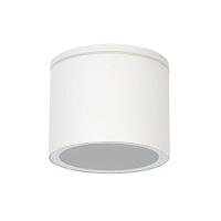 Дополнительная картинка Уличный потолочный светильник Arte Lamp PIAUTOS A1913PF-1WH