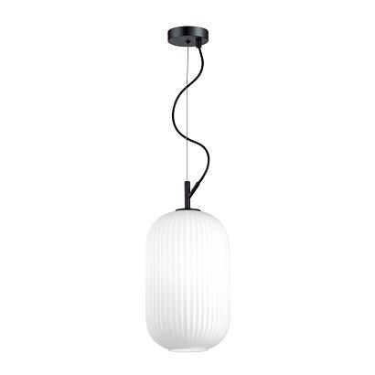 подвесной светильник odeon light pendant roofi 4751/1, доставка по Казахстану 