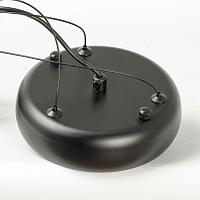 Дополнительная картинка Подвесной светильник Lussole LSP-7360