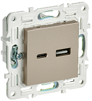 SKANDY Роз. USB A+C 3,1А SK-R14Sh шамп. IEK 