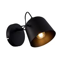 Evoluce SLE1805-401-01 Светильник настенный Blank