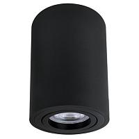 Дополнительная картинка Точечный накладной светильник Arte Lamp SENTRY A1566PL-1BK