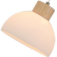 подвесной светильник arte lamp caprice a4184sp-1br, доставка по Казахстану 