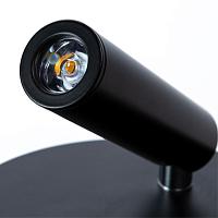 Дополнительная картинка Светодиодный спот Arte Lamp Electra A8232AP-1BK
