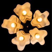 Дополнительная картинка Потолочный светильник Arte Lamp 18 A3479PL-5CC
