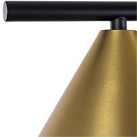 Дополнительная картинка Напольный светильник Arte Lamp DAVID A7033PN-1BK