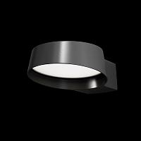 Дополнительная картинка Настенный светильник Outdoor O443WL-L12GF3K