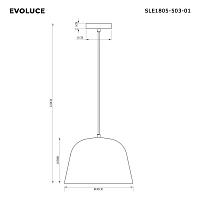 Дополнительная картинка Evoluce SLE1805-503-01 Светильник подвесной Blank