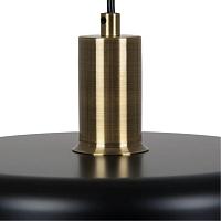 Дополнительная картинка Подвесной светильник Arte Lamp SKAT A7052SP-1BK