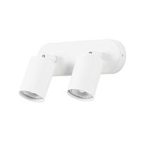 Потолочный светильник Arte Lamp AQUARIUS A3226PL-2WH