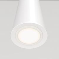 Дополнительная картинка Подвесной светильник Maytoni Nevill P318-PL-01-W