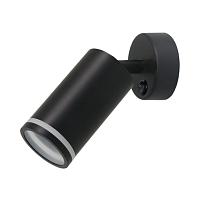 Дополнительная картинка Настенно-потолочный светильник Arte Lamp IMAI A2365AP-1BK