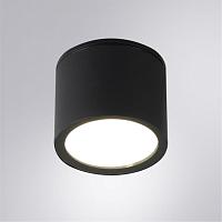 Уличный потолочный светильник Arte Lamp PIAUTOS A1913PF-1BK