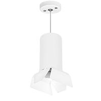 Дополнительная картинка Подвесной светильник Lightstar Rullo (216486+590086+202486) RP6486486