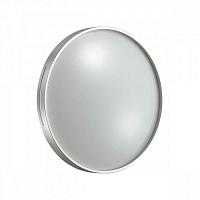 Настенно-потолочный светодиодный светильник Sonex Pale Geta silver 2076/DL