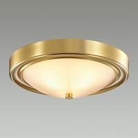 Дополнительная картинка Настенно-потолочный светильник Lumion Vintage Nina 5259/2C