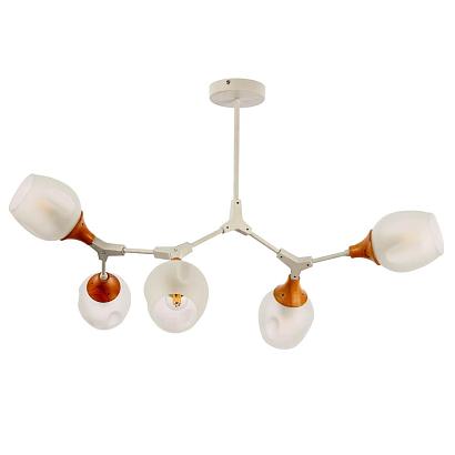 потолочная люстра evoluce ciotolla sle113502-05, доставка по Казахстану 