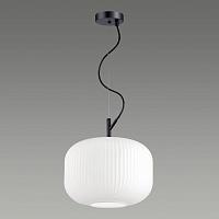 Дополнительная картинка Подвесной светильник Odeon Light Pendant Roofi 4754/1