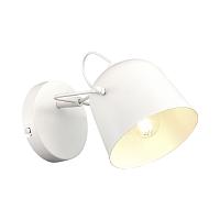 Evoluce SLE1805-501-01 Светильник настенный Blank