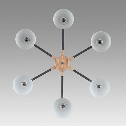 купить 8096/6C Lumion Люстра потолочная COLANGE в Алматы, svet.kz, доставка по Казахстану 