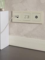 BRITE Роз. комп. 2-ая RJ45 кат.5E РК10-2-БрКр беж. IEK 