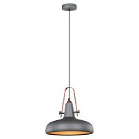 Дополнительная картинка Подвесной светильник Lussole Loft LSP-9814